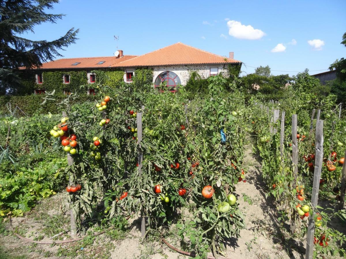 Hotel La Ferme De Rouffignac Blanzac  Esterno foto